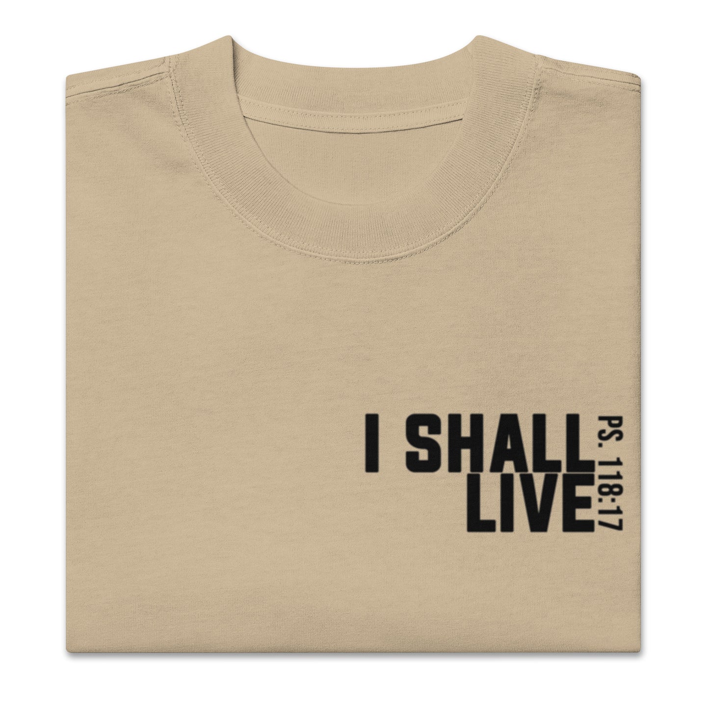 I shall live Oversized faded t-shirt